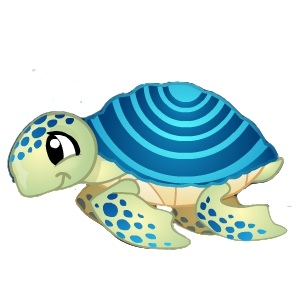 Blue Ring Turtle